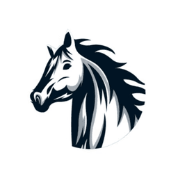 Black Horse Motors