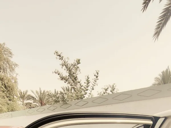 Cars for sale in uae Kia Morning