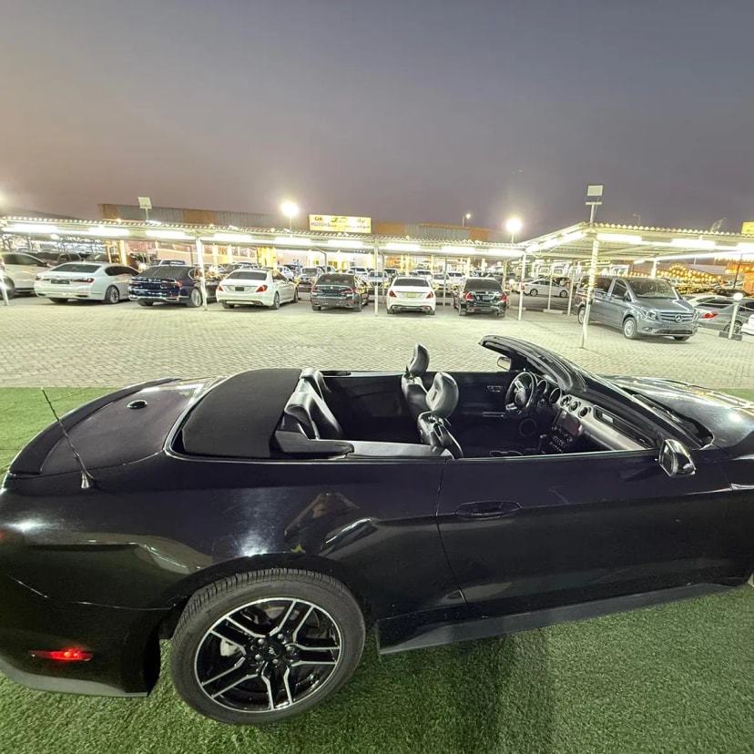 Cars for sale in uae Ford Mustang