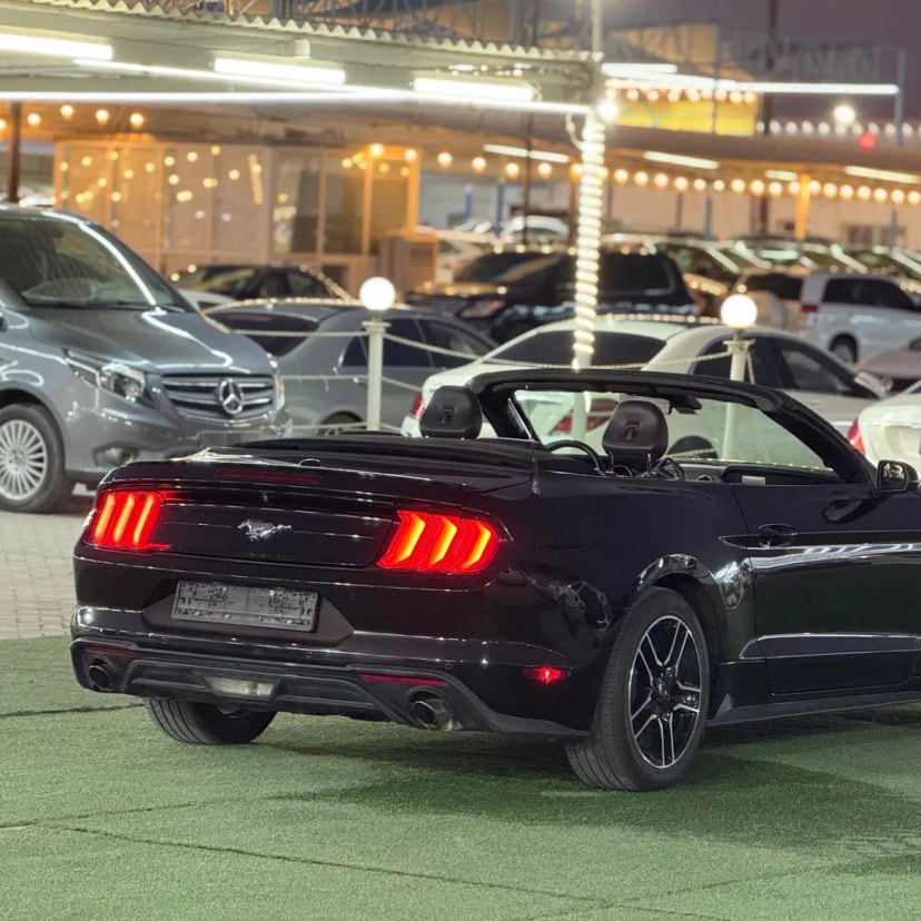 Cars for sale in uae Ford Mustang