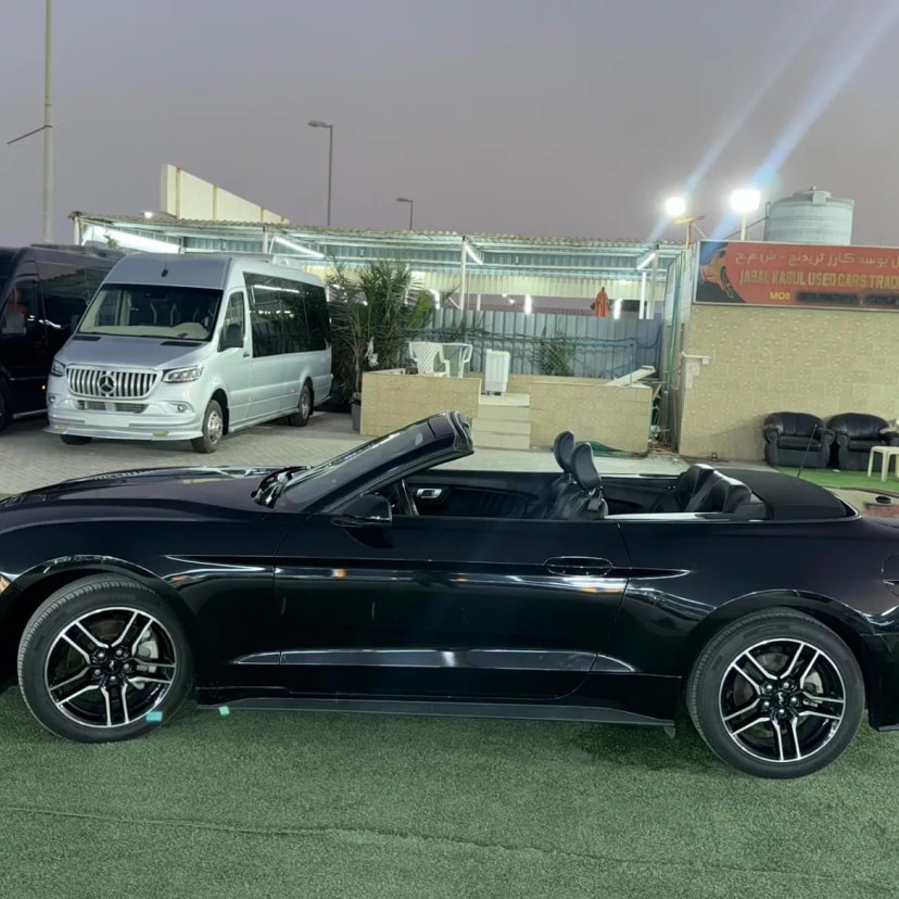 Cars for sale in uae Ford Mustang