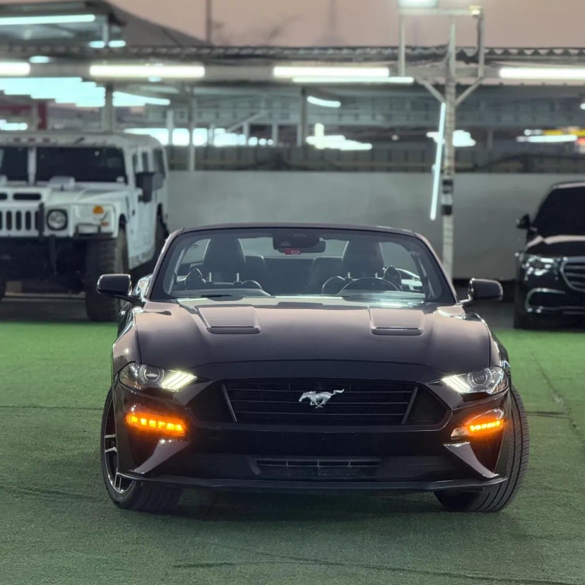 Cars for sale in uae Ford Mustang