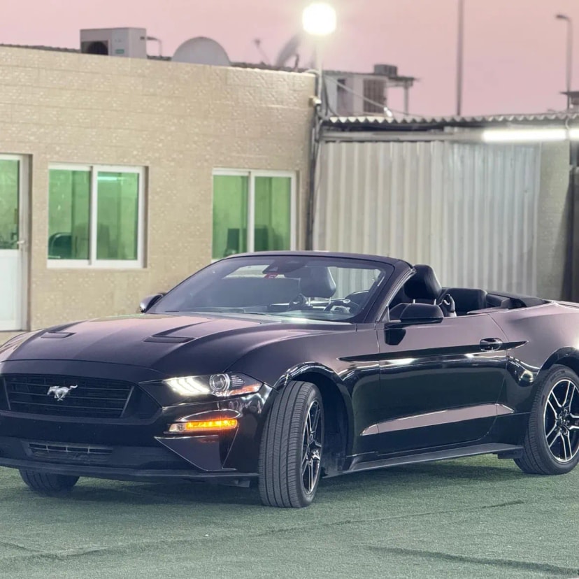 Cars for sale in uae Ford Mustang